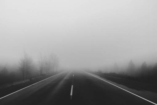 haze road  rural  fog  trees  haze  grey  black and white
