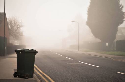 trash road  street  tree  plant  outdoor  foggy  trash bin