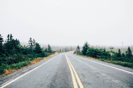road  trees  plants  lane  path  fog  clouds