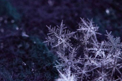 congelado copo de nieve macro vacaciones de invierno fondo hielo