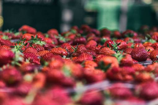 strawberry  food  crops  fruits  red  juice  sweet