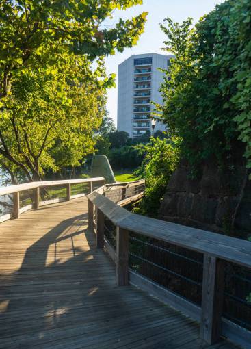 sun  path  outdoors  wooden  walkway  bridge  trees