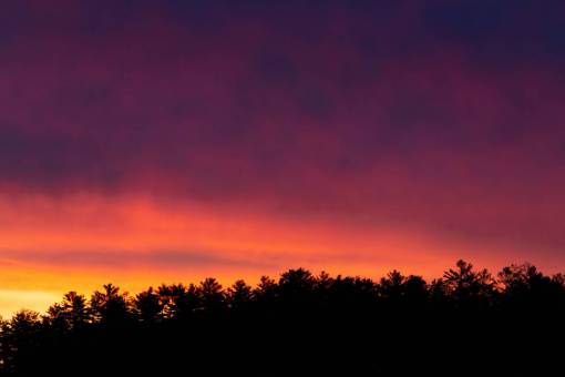 sunset  clouds  trees  silhouette  nature  outdoors  dusk