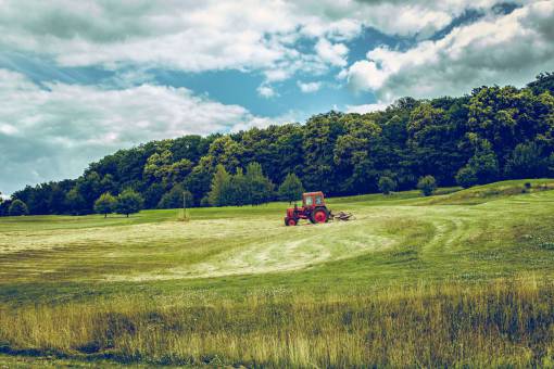 tractor  vehicle  green  grass  field  farm  trees