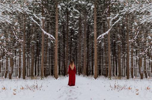 tree  plant  forest  snow  winter  people  girl