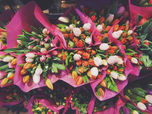 tulip tulips  flowers  bouquet  easter
