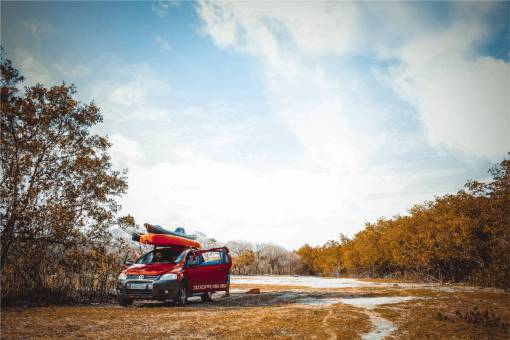 vw-beetle vw  suv  countryside  rural  grass  snow  trees