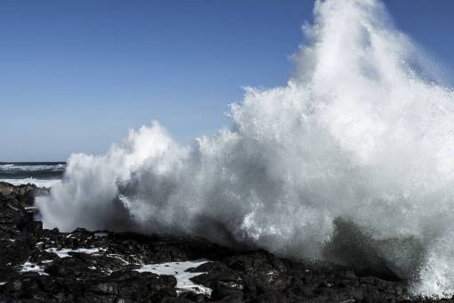 powerful-animal waves  crashing  rocks  coast  shore  beach  water