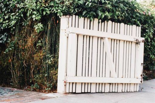 arbusto puerta blanca valla enredaderas arbustos hojas