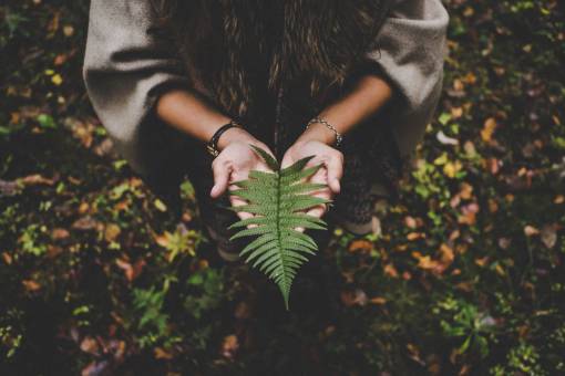 viajes sostenibles Mujer sosteniendo árbol de licencia viaje de aventura en la naturaleza