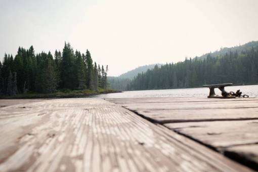 wood  dock  lake  water  forest  trees  outdoors