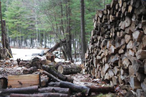 lumber wood  lumber  logs  trees  forest  branches  bark