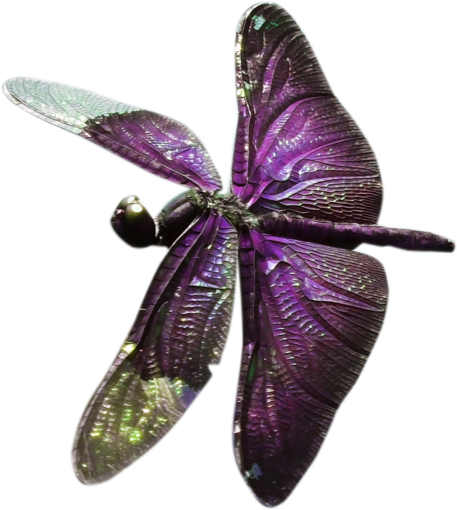  animal close-up dragonfly png multi colored overlay nature