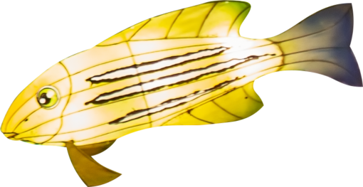 asian-and-indian-ethnicities Fish Shape Chinese Lantern