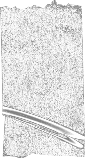 adhesive Scotch tape Overlay PNG
