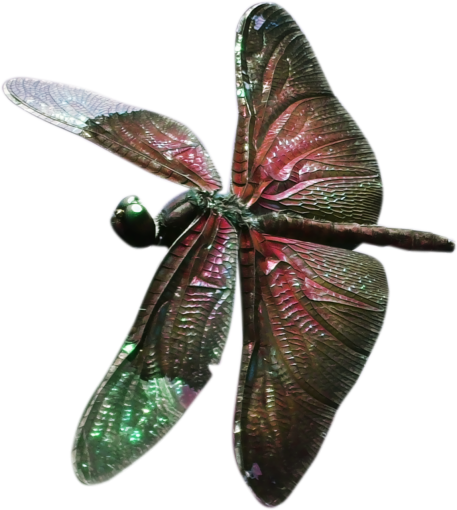  nature close-up dragonfly multi colored overlay png animal