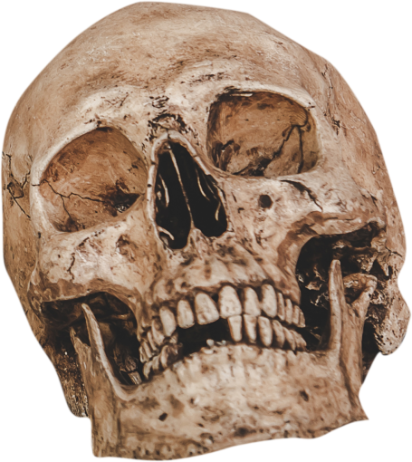 horror Human Skull Overlay PNG