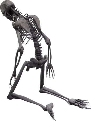 horror Skeleton Overlay PNG