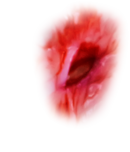 terror Zombie Wound Overlay PNG