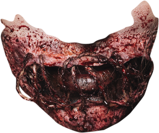 terror Zombie Wound Overlay PNG
