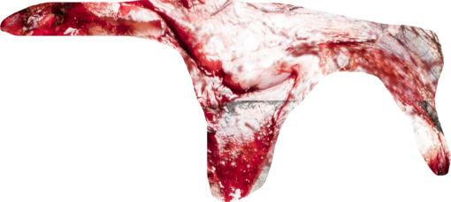 terror Zombie Wound Overlay PNG