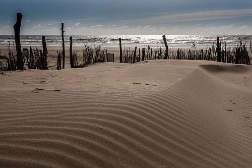 atlantic Backlit Beach Landscape