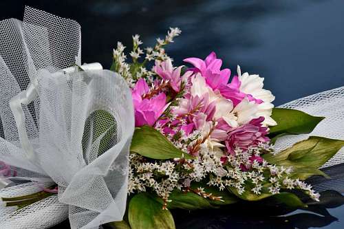 azalea shrub bouquet nature flower flora romance leaf rose decorativa flor como