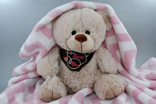 teddy-bear bear toy innocence teddy blanket romance yellowish brown funny