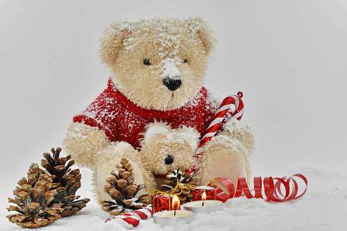 teddy-bear christmas candles decoration conifers bear snow teddy romantic toy frost snowflakes ribbon
