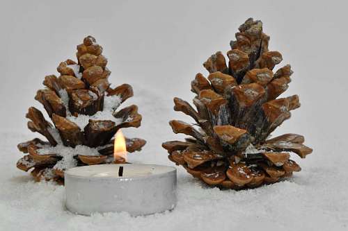 conifers seed christmas blur wooden candle brown snowflakes candlelight celebration