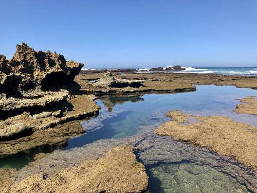 erosion coral erosion reef beach water ecosystem ocean nature sea landscape 