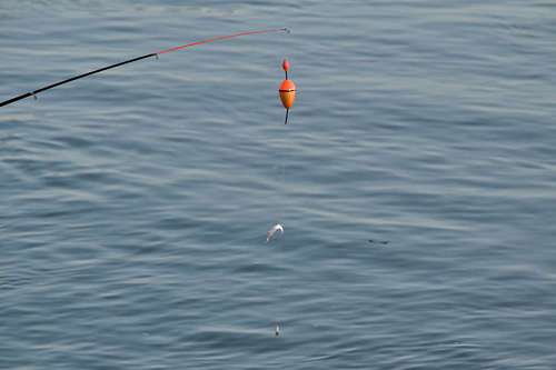 fishing water gear lake sea nature ocean bait reflection vistuig equipment hengel visser rod prachtige jongen rivier reflectie natuur sportsport