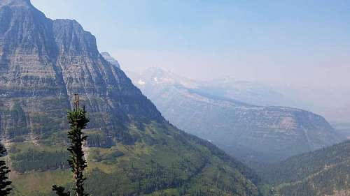 fog conifers trees valley landscape mountains range mountain nature wood