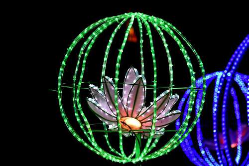 lily-family futuristic illumination lamp round electricity artwork wires lily pad shape