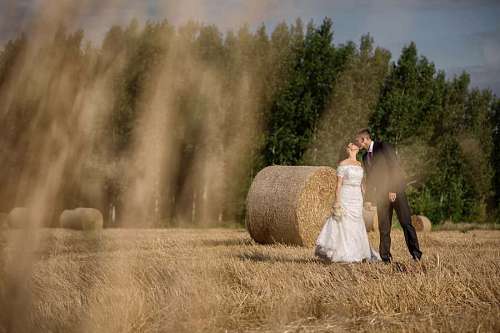 besos pajar de heno campo novio beso novia paja agricultura
