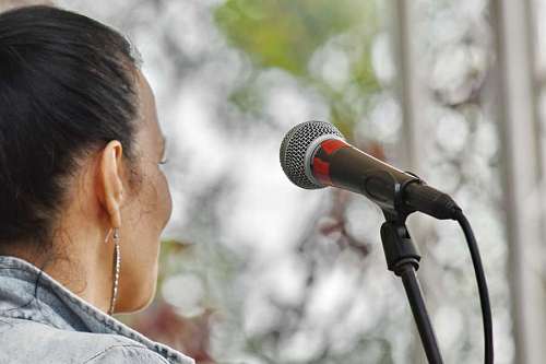 microphone singer festival portrait musician concert performance landscape