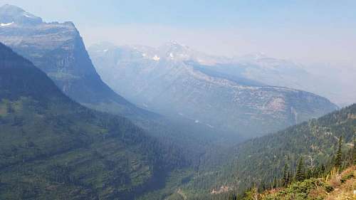 mist conifer valley forest national park wilderness mountains mountain landscape land