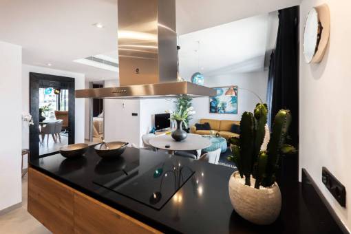 residential Modern Kitchen Architecture