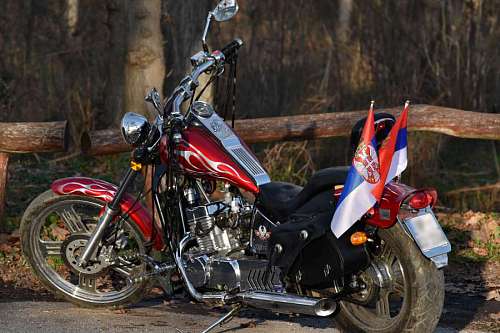 motorcycle famous forest engine road cycle speed wheel motor travel