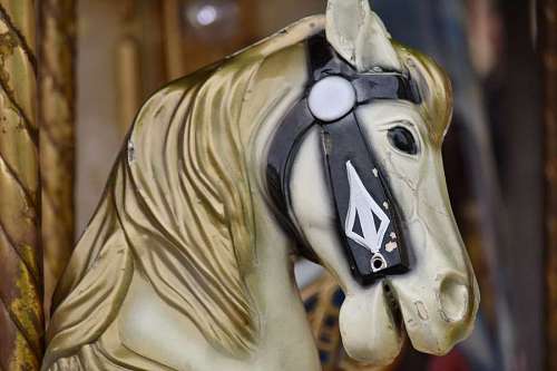 carousel-lights toy plastic horse carousel toyshop indoors statue sculpture