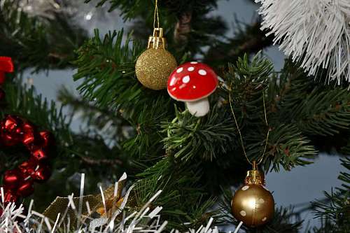 mushroom tree mushroom decoration ornament shining evergreen pine  albero