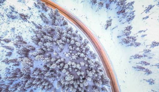 congelado vista aérea superior nieve invierno congelado frío bosque
