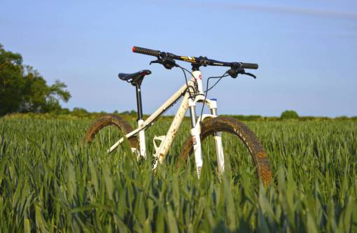 hobby bicicleta bicicleta deporte afición campo de hierba verde