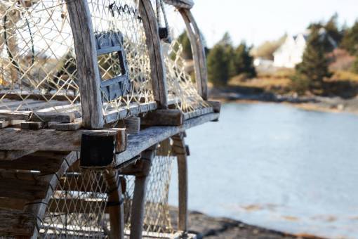 web Trampas de pesca langosta de agua cerrar red de madera