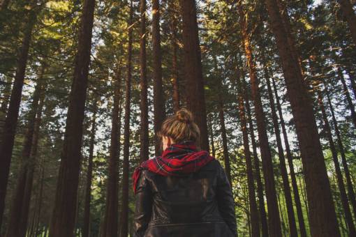 brunette girl  leather  jacket  scarf  woods  forest  trees