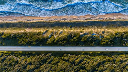 green  grass  trees  plant  landscape  nature  sea