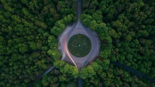 árboles verdes planta naturaleza bosque vista aérea