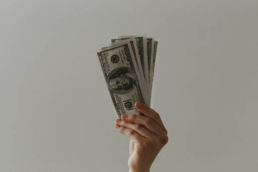 loan hand  holding  money  bills  currency  financial  rich
