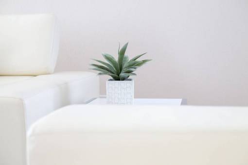 house  plant  interior  white  minimal  design  decor
