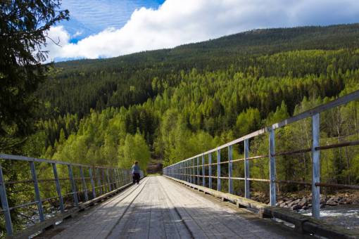 increible Noruega bosque mountian bridge viajes fotografía color